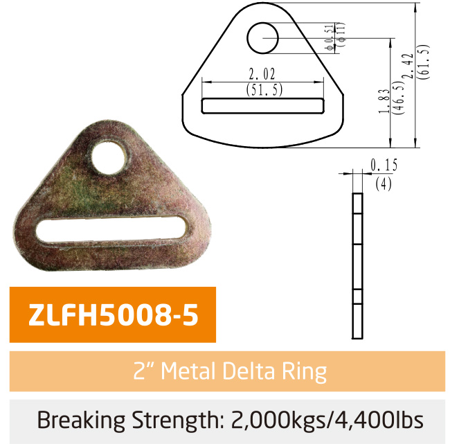 �����ʳ�